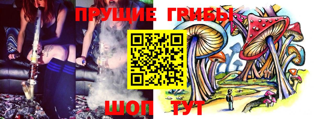 Псилоцибиновые грибы MAGIC MUSHROOMS Гулькевичи