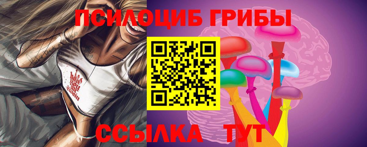 купить  цена  Галлюциногенные грибы Psilocybine cubensis  Вход с VPN  Псилоцибиновые грибы Psilocybe  Гулькевичи 