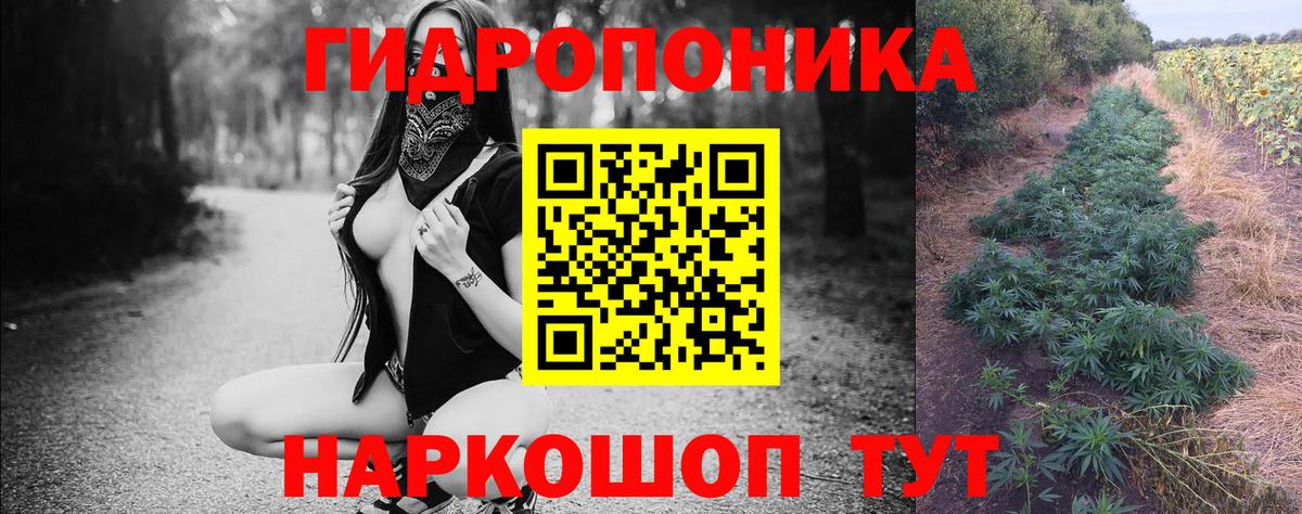 Шишки марихуана сатива Гулькевичи